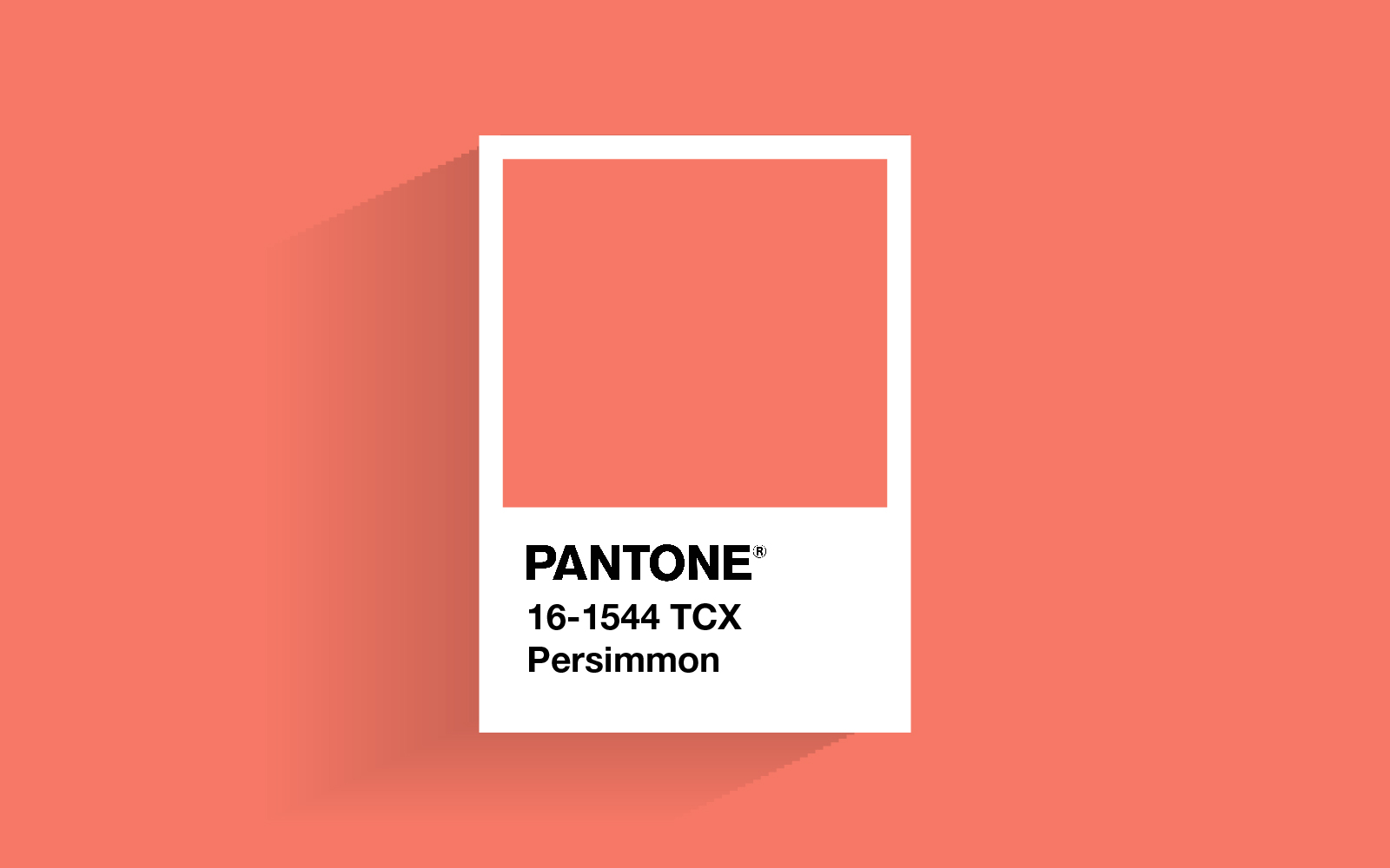 Couleurs Printemps T Pantone Bananas Studio